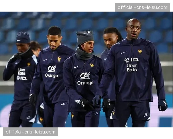 新法兰西大球场改造计划公布，旨在为2030世界杯做准备